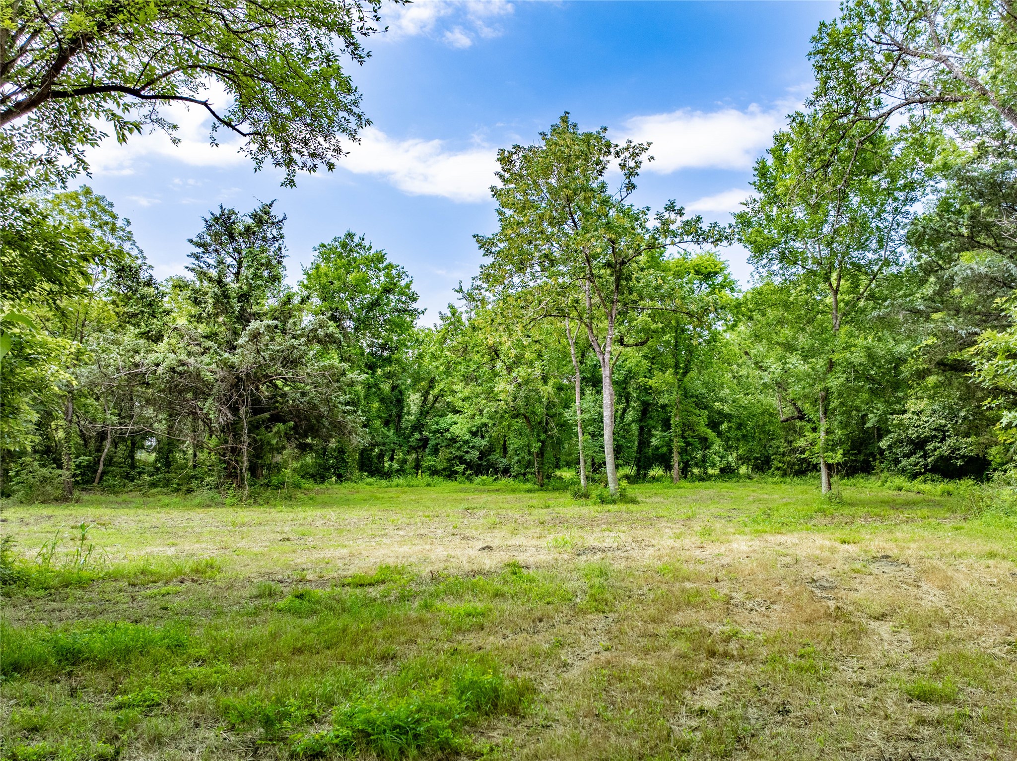 Tbd Schwartz Road Washington, TX 77880 - Photo 16 of 17 a backyard of a house with lots of green space and deers