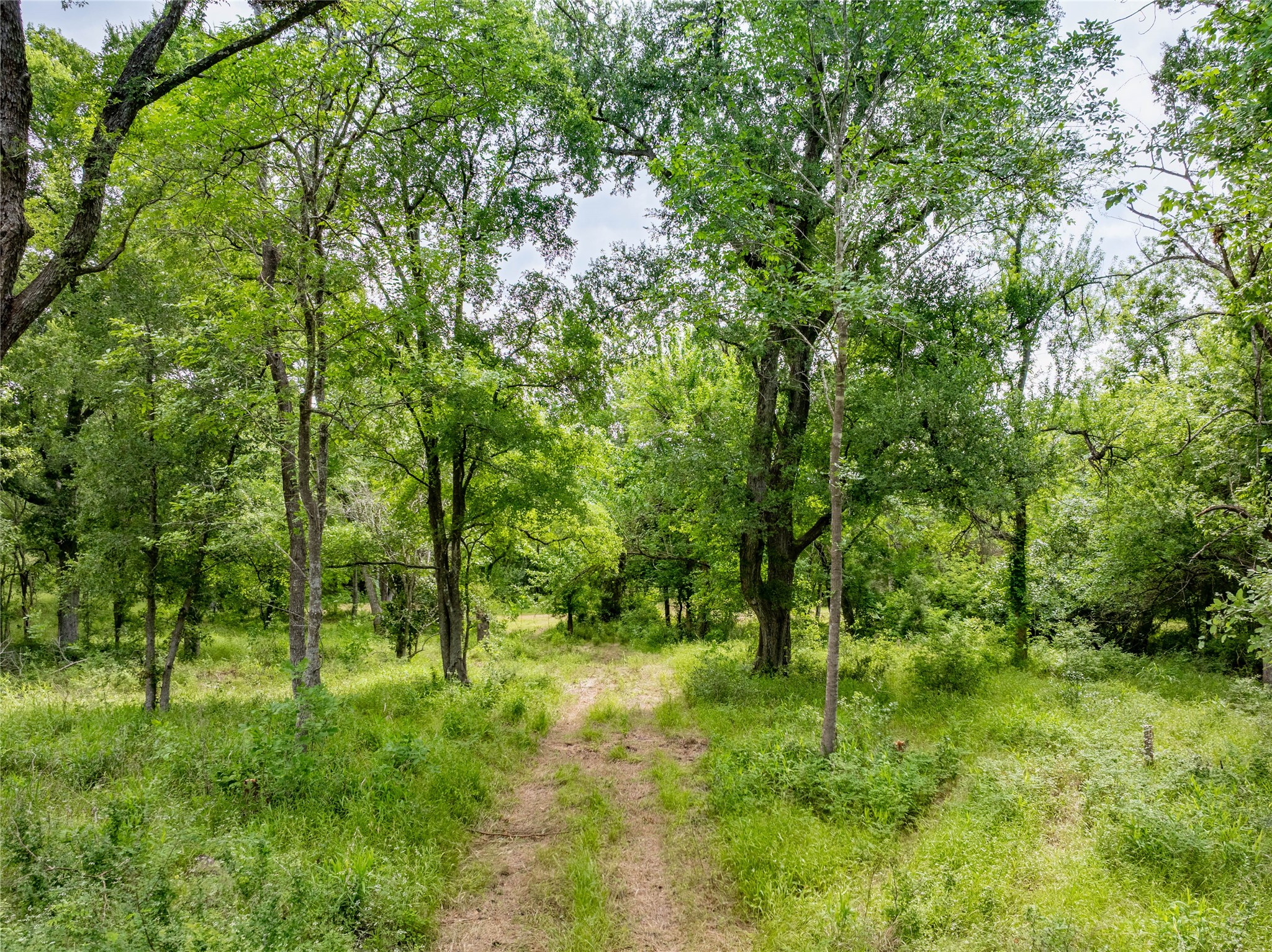 Tbd Schwartz Road Washington, TX 77880 - Photo 7 of 17 a view of outdoor space and green space