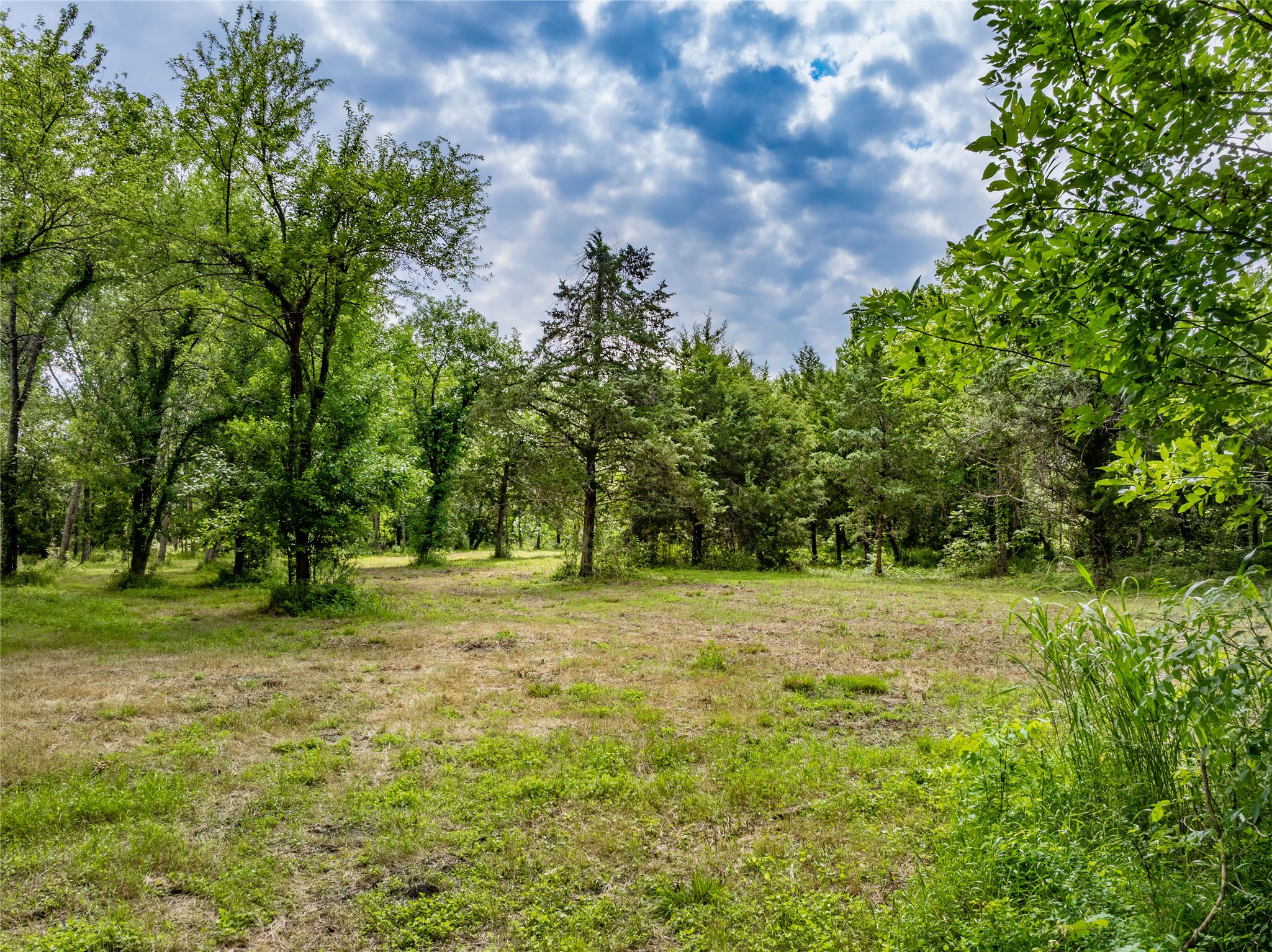 Tbd Schwartz Road Washington, TX 77880 - Photo 8 of 17 a view of a field with trees in the background
