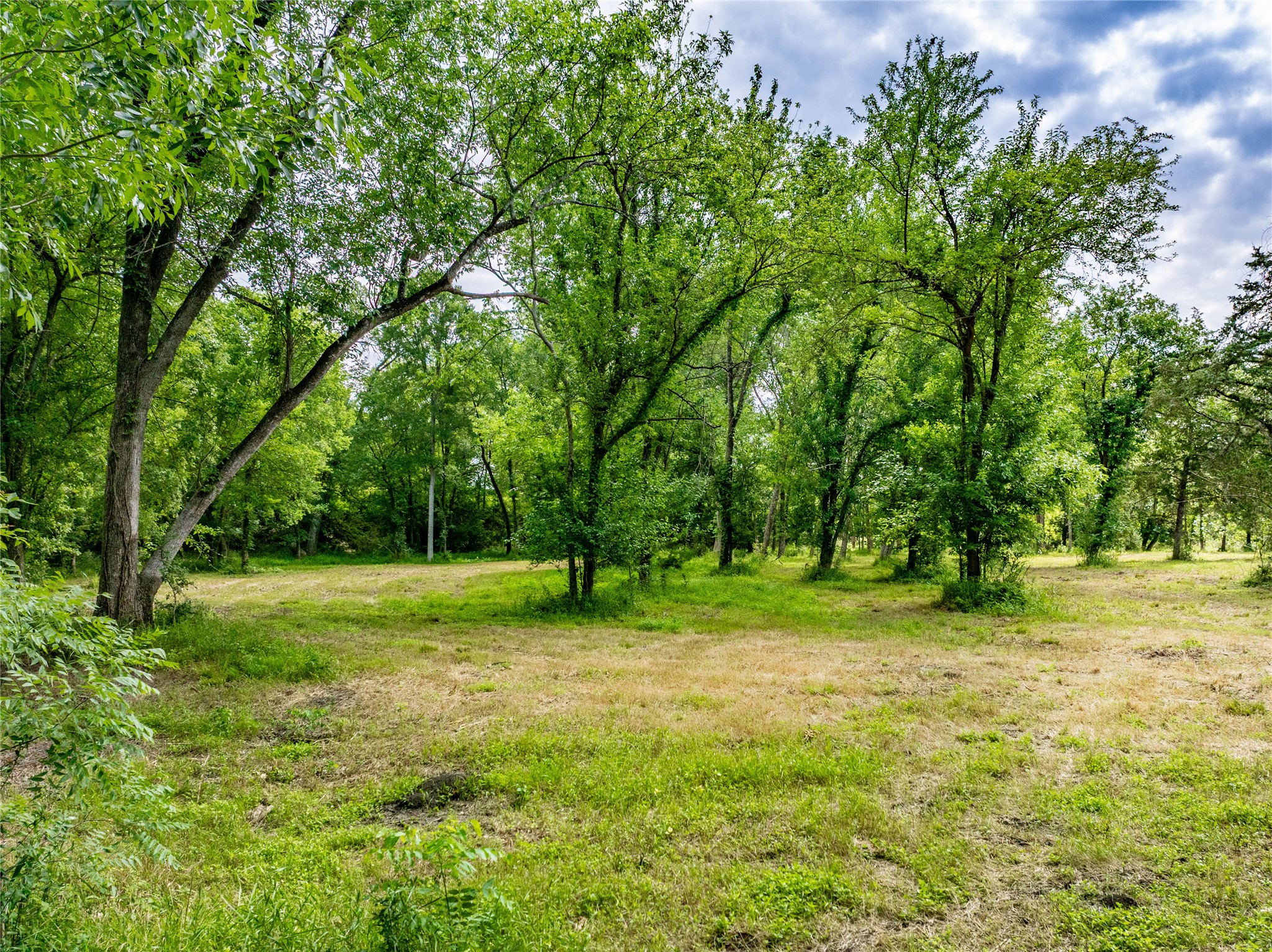 Tbd Schwartz Road Washington, TX 77880 - Photo 9 of 17