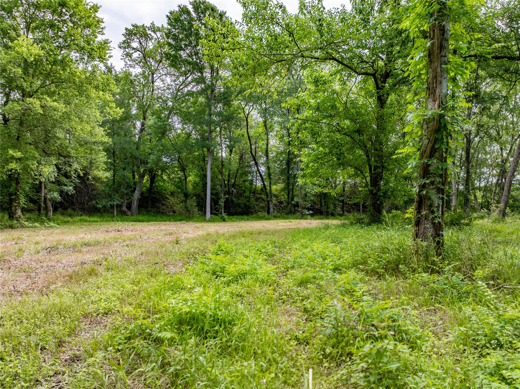Tbd Schwartz Road Washington, TX 77880 - Photo 10 of 17 a view of outdoor space with deck and yard