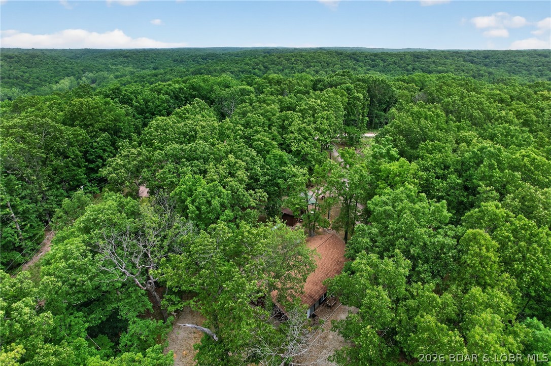 16376 Twisted Tree Road Barnett, MO 65011 - Photo 44 of 65