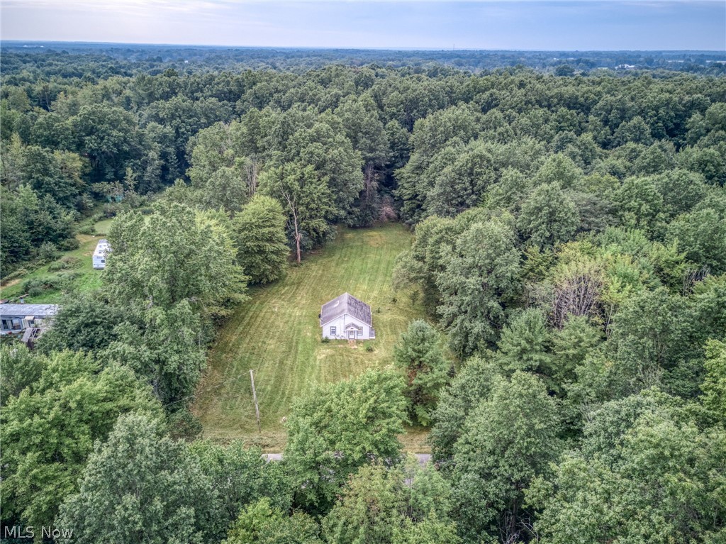 8386 Yale Road Rootstown, OH 44272 - Photo 28 of 46 Expansive treed acreage with a central clearing and a single dwelling