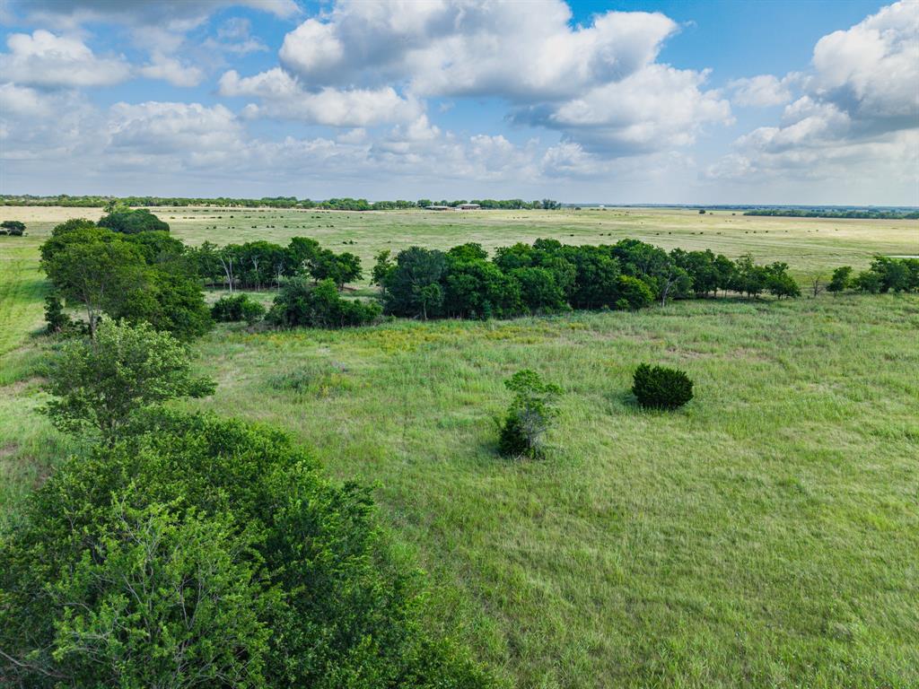295 Turkey Run Road Crawford, TX 76638 - Photo 4 of 11