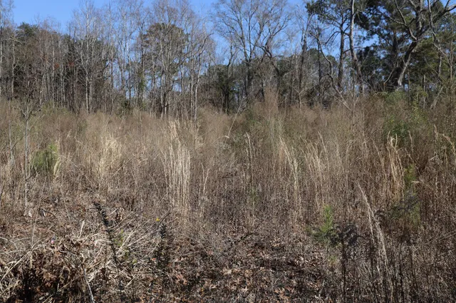 $1,400,000 | 1742 Habersham Rd Mount, Mount Pleasant, SC 29466