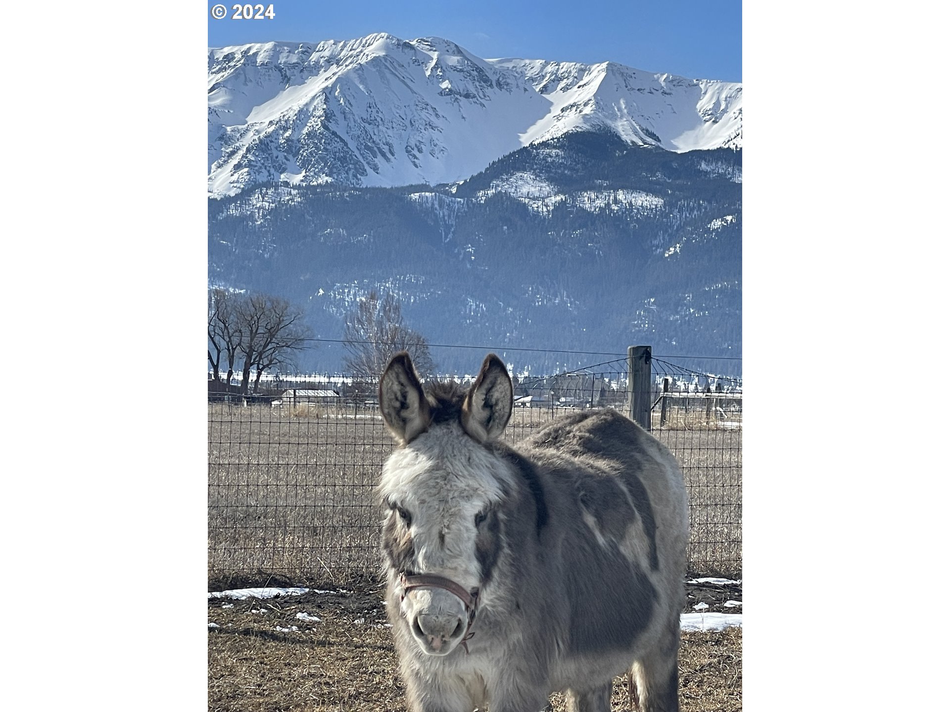80134 Countryside Road Joseph, OR 97846 - Photo 11 of 38 Gallery Image 11