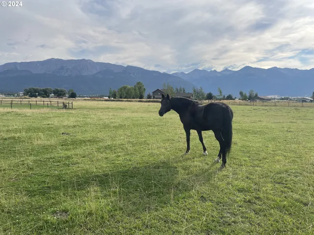 a view of a lake from a balcony