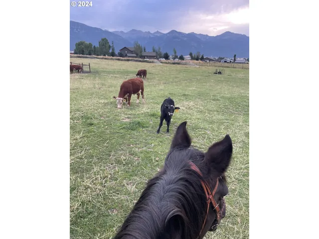 a view of water heater in a room