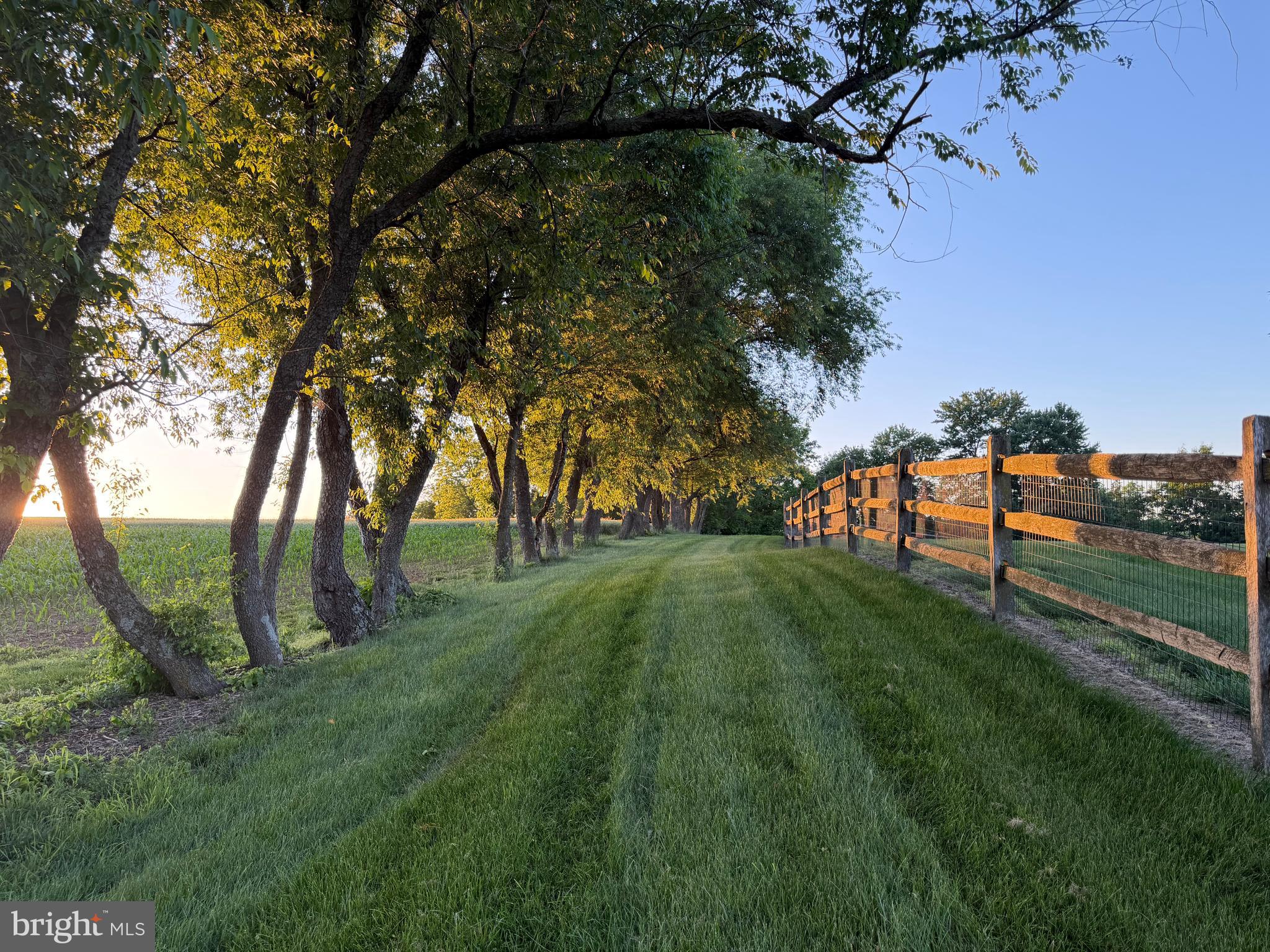 3646 Meadow View Road Manheim, PA 17545 - Photo 7 of 56 a view of field with trees