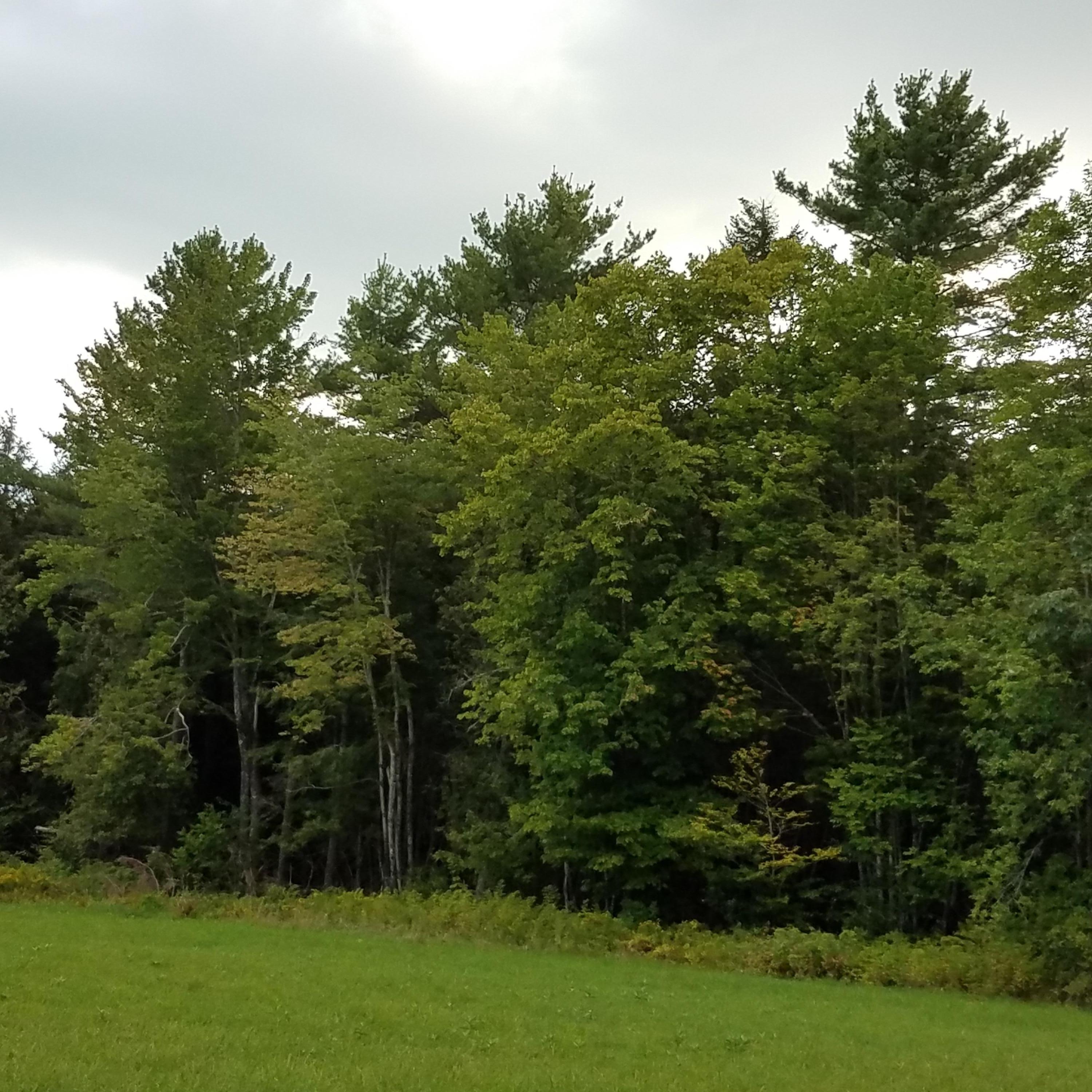 986 Waterville Road Unity, ME 04988 - Photo 11 of 41 20190830_175009