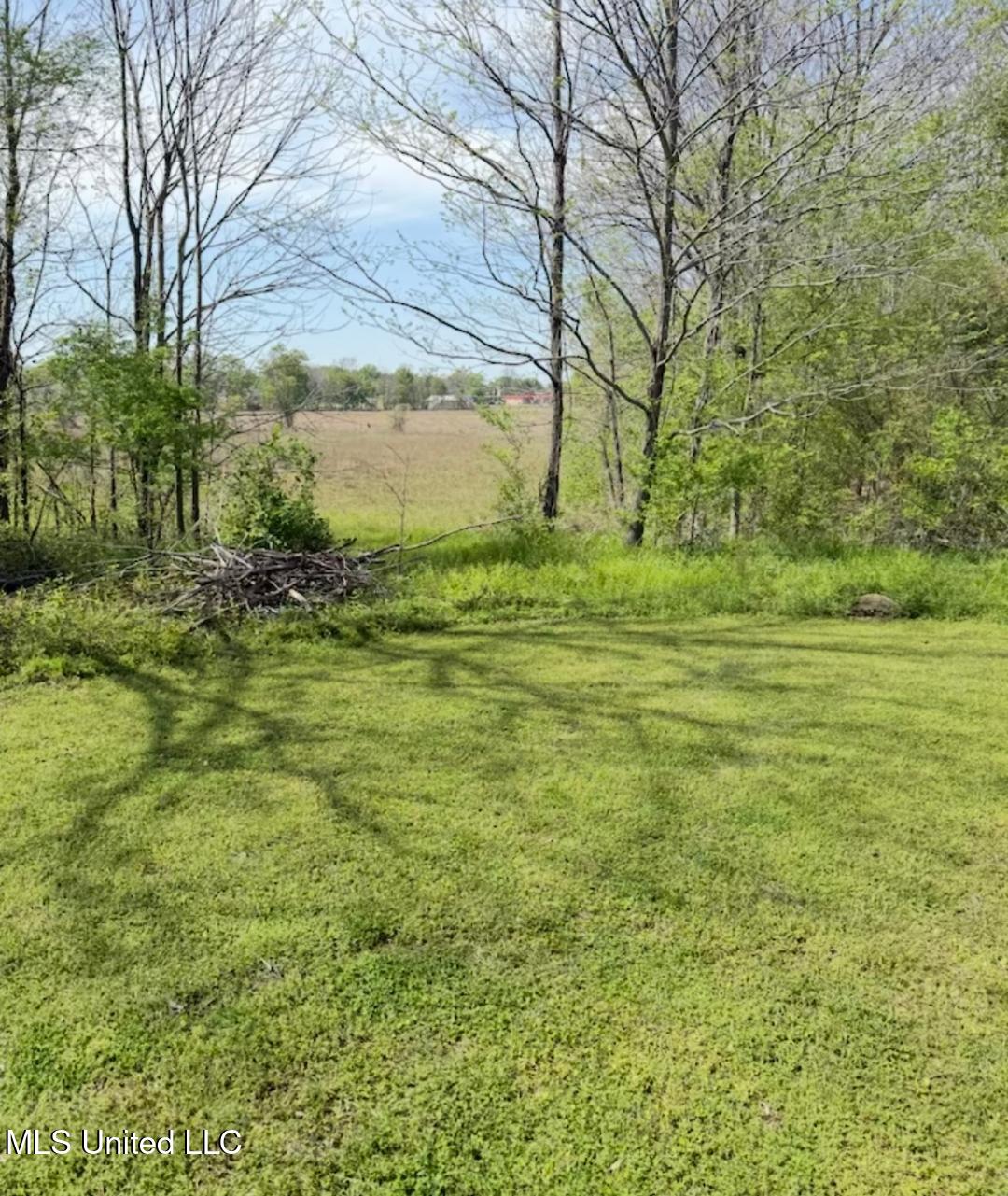 0 Swoop Road Drew, MS 38737 - Photo 9 of 15 15