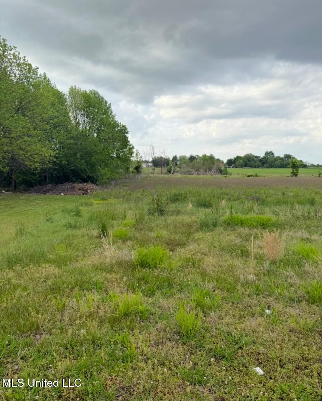 0 Swoop Road Drew, MS 38737 - Photo 10 of 15 14