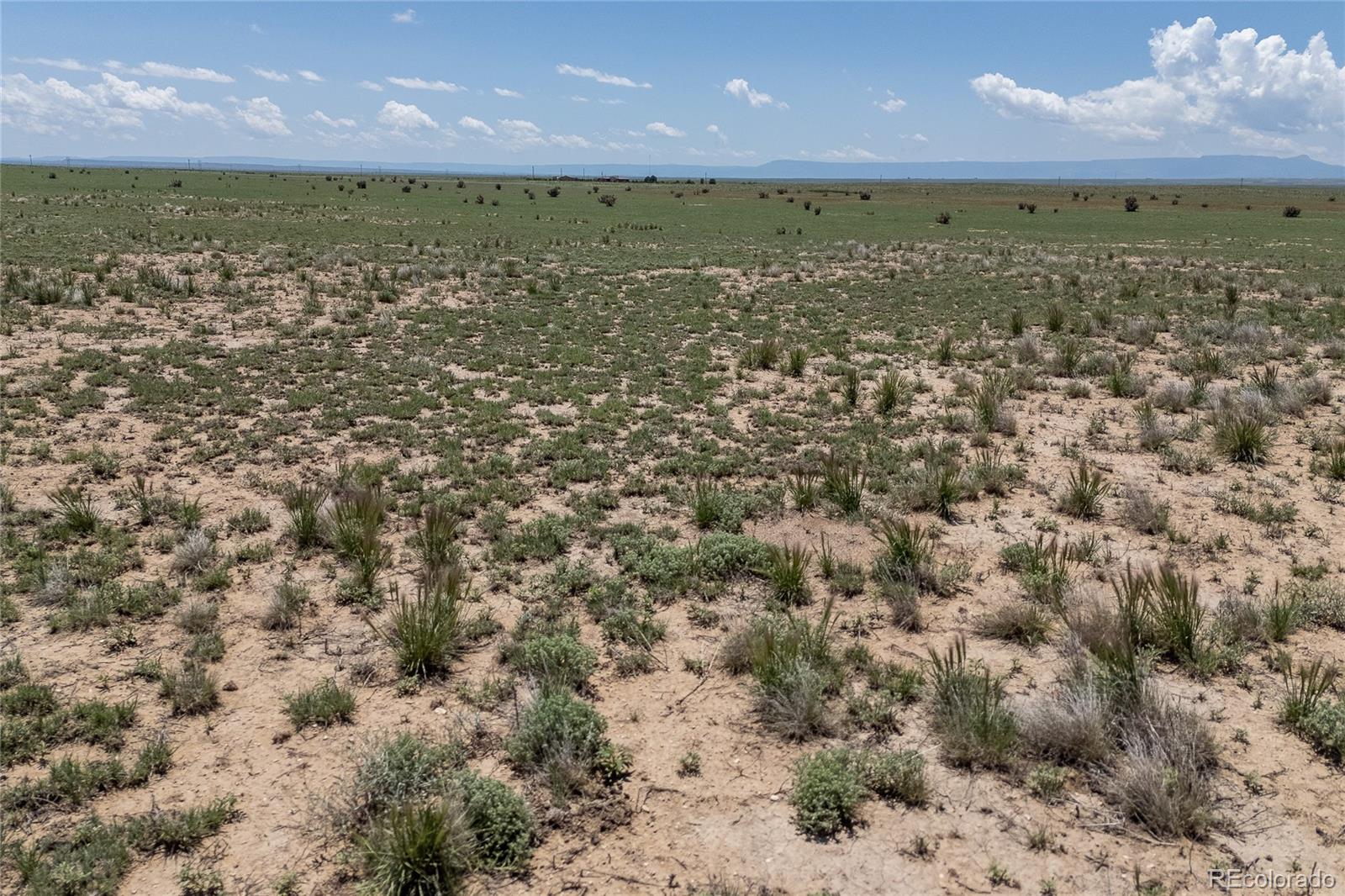 35.5 Acres Fe Trail Ranches Model, CO 81059 - Photo 12 of 26 Gallery Image 12