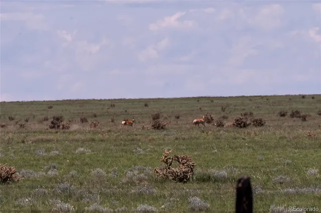 $28,000 | 35.5 Acres Fe Trail Ranches, Model, CO 81059