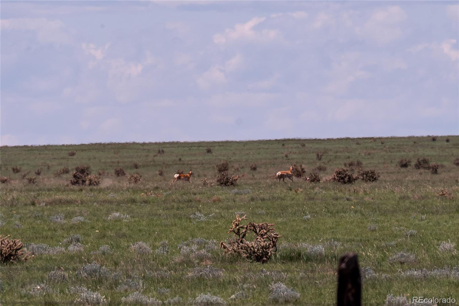 35.5 Acres Fe Trail Ranches Model, CO 81059 - Photo 3 of 26 Gallery Image 3