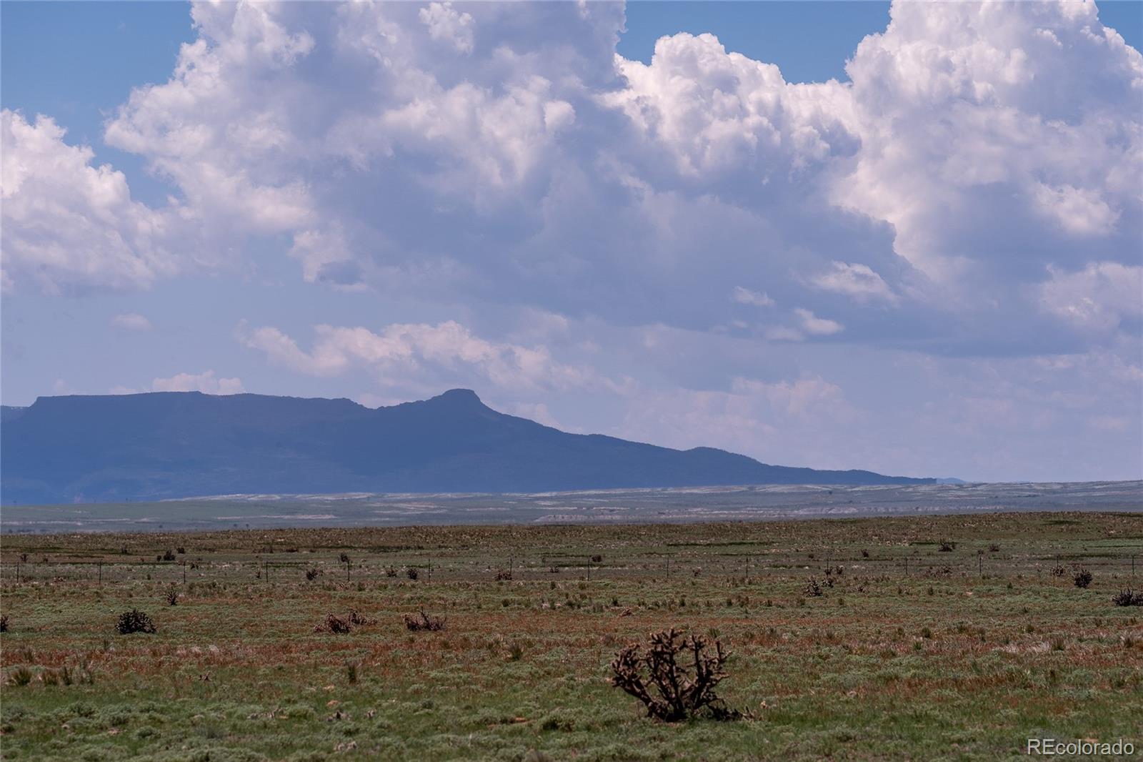 35.5 Acres Fe Trail Ranches Model, CO 81059 - Photo 9 of 26 Gallery Image 9