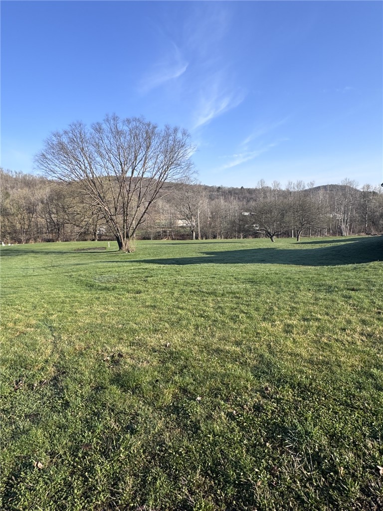 1368 Looker Mountain Trail Rixford, PA 16745 - Photo 4 of 36