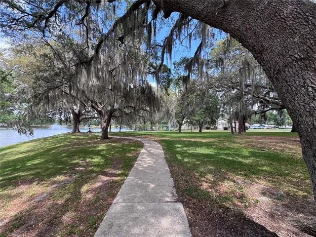 a huge green field with lots of trees