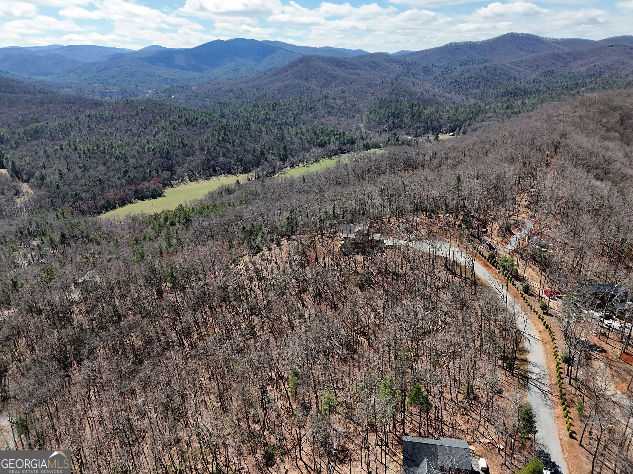 Lot 12 Native Trail Cherry Log, GA 30513 - Photo 13 of 14 a view of a forest with mountains in the background