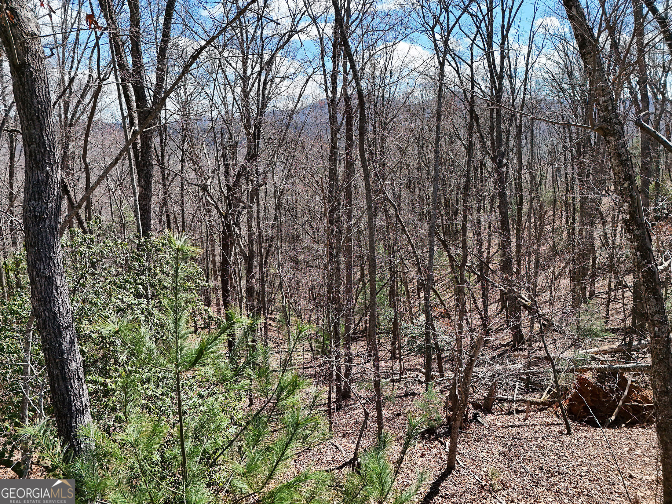 Lot 12 Native Trail Cherry Log, GA 30513 - Photo 4 of 14 a view of a garden