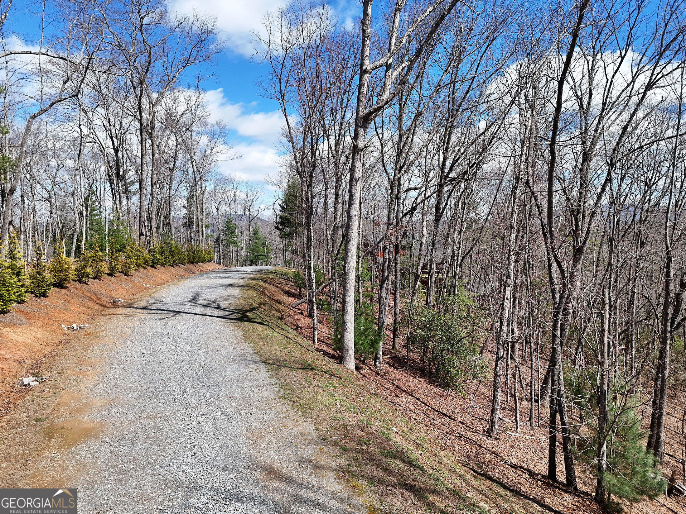 Lot 12 Native Trail Cherry Log, GA 30513 - Photo 7 of 14 a view of backyard space and trees