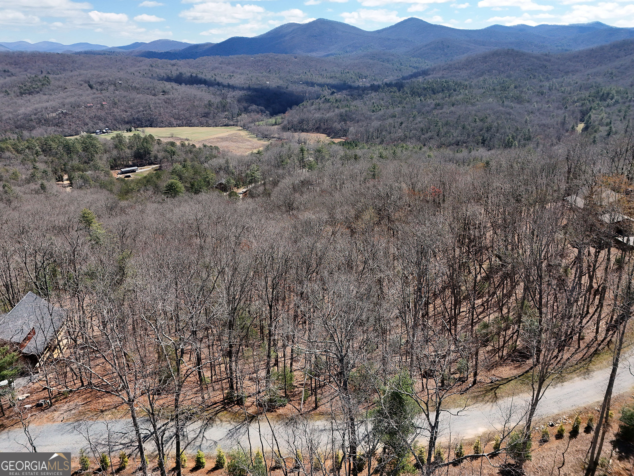 Lot 12 Native Trail Cherry Log, GA 30513 - Photo 8 of 14 a view of a forest with mountains in the background
