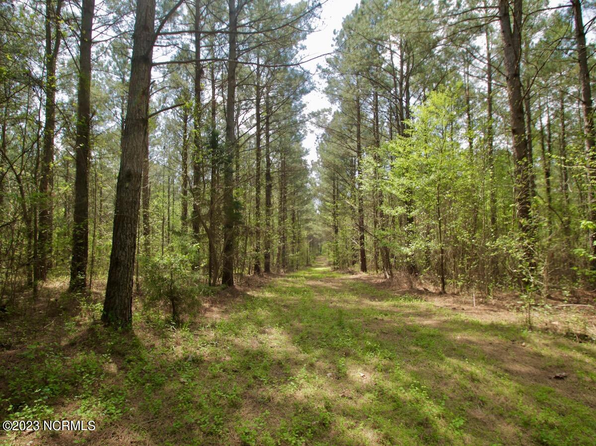 0 Qualls Farm Road Enfield, NC 27823 - Photo 19 of 50 22