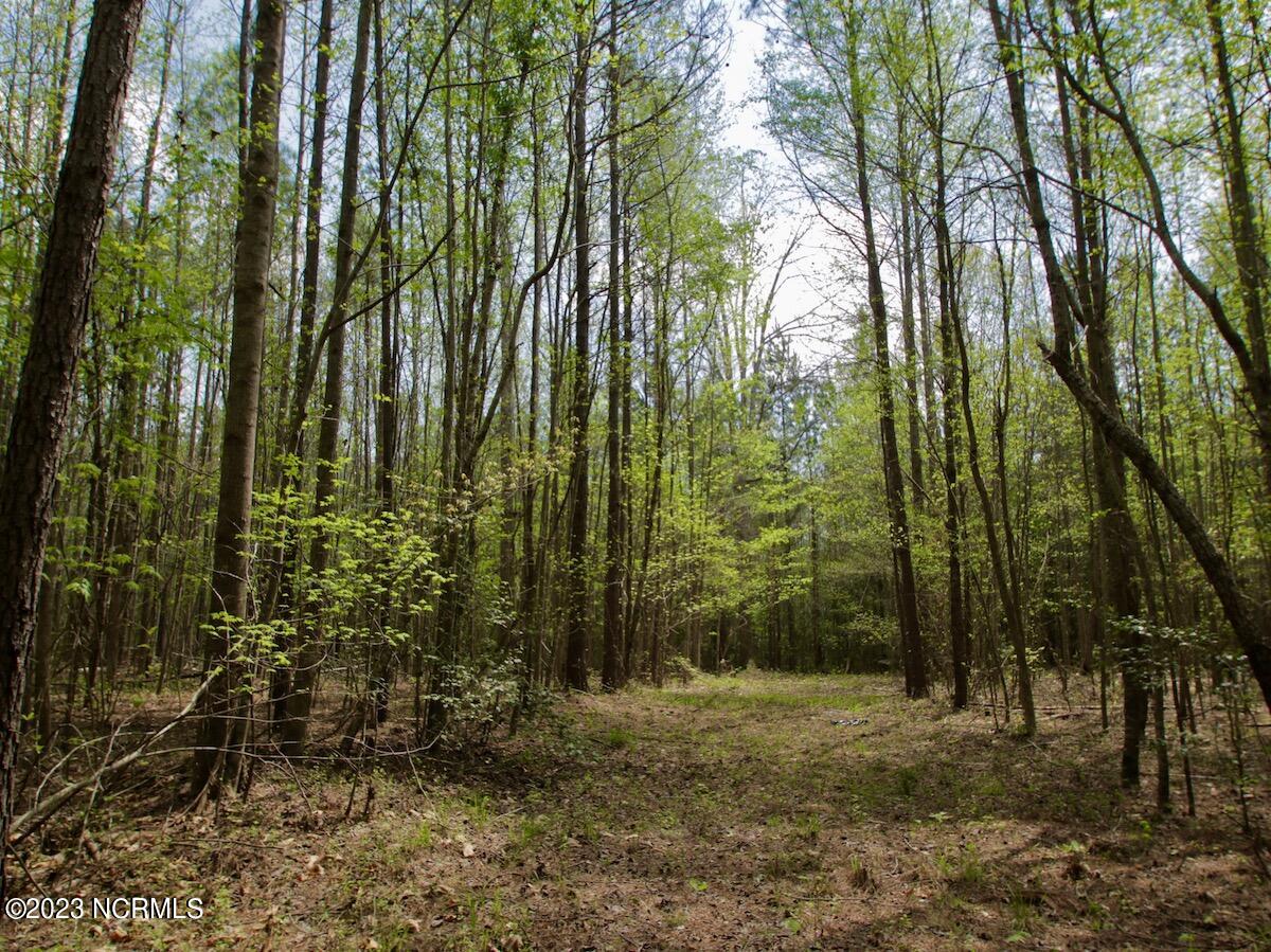 0 Qualls Farm Road Enfield, NC 27823 - Photo 33 of 50 36