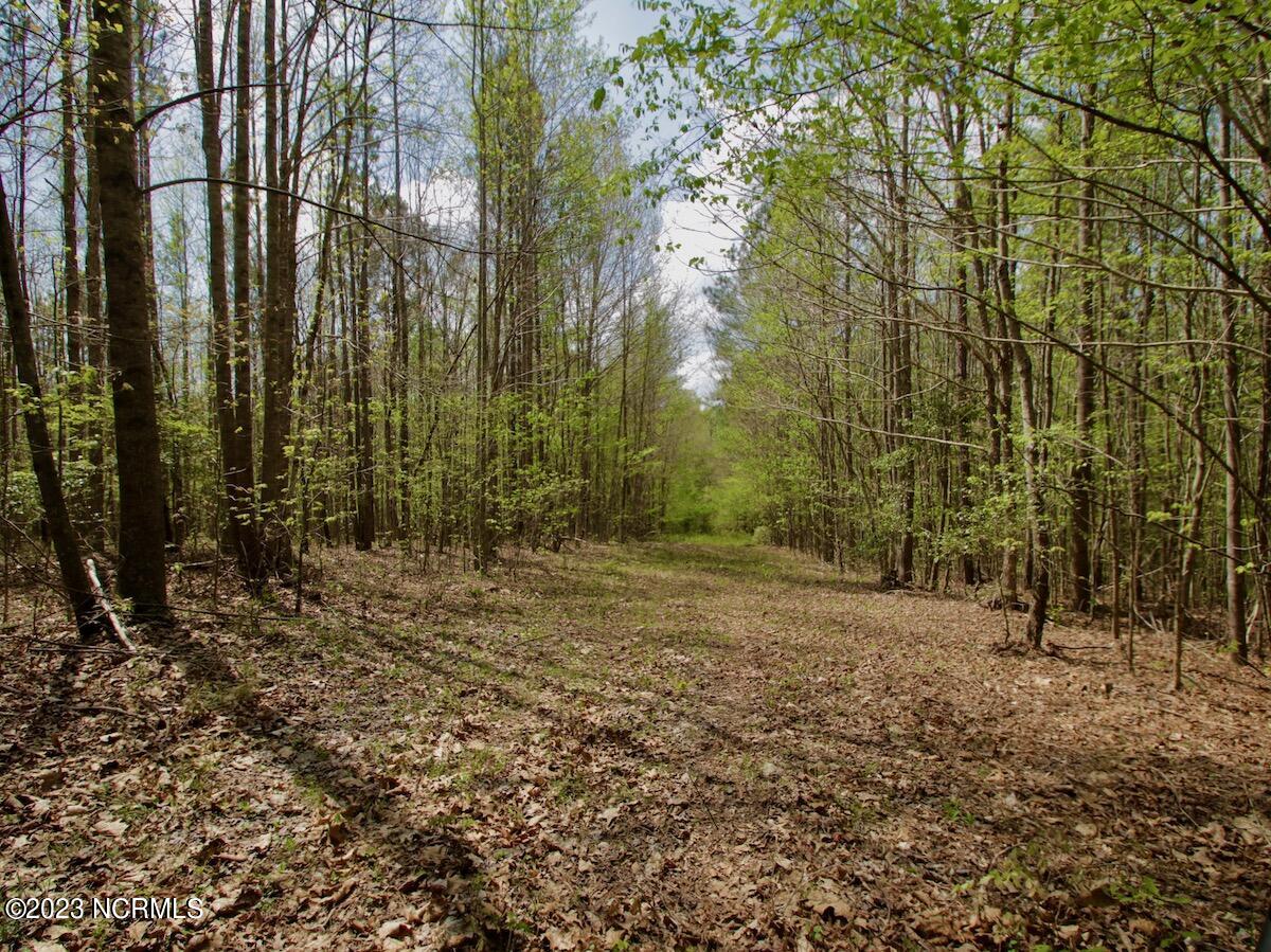0 Qualls Farm Road Enfield, NC 27823 - Photo 45 of 50 53