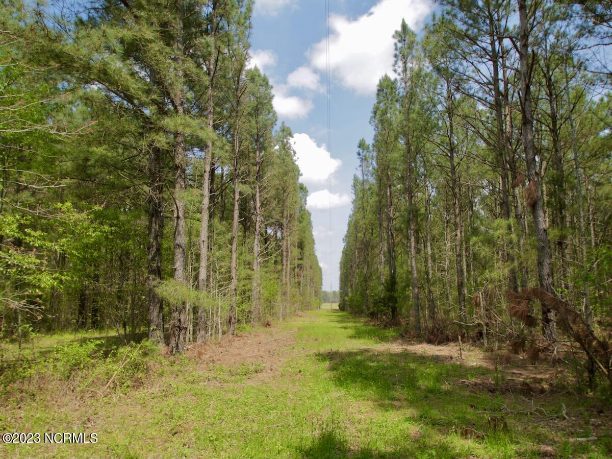 0 Qualls Farm Road Enfield, NC 27823 - Photo 8 of 50 11