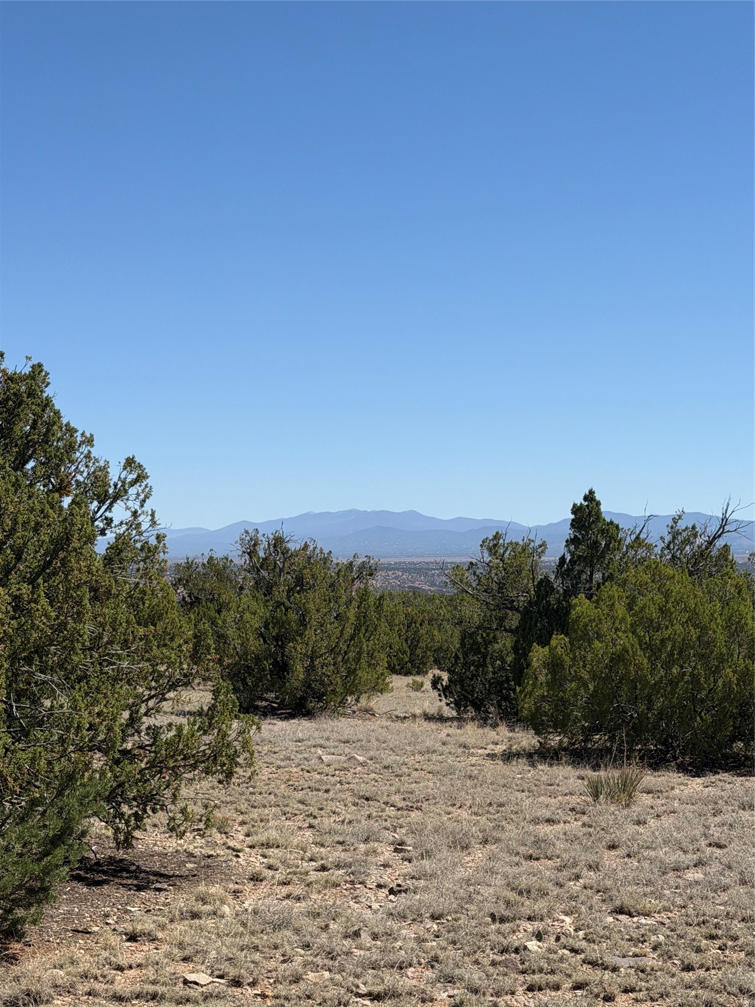 7 C Rancho De Shama, Unit A Cerrillos, NM 87010 - Photo 5 of 19