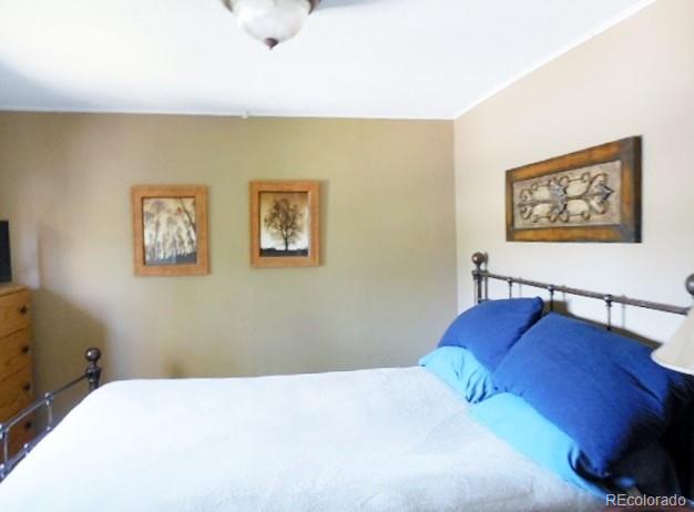 30353 Conifer Road Evergreen, CO 80439 - Photo 13 of 22 Gallery Image 13