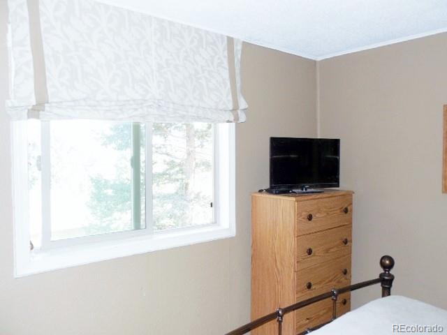 30353 Conifer Road Evergreen, CO 80439 - Photo 14 of 22 Gallery Image 14
