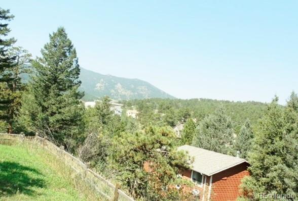 30353 Conifer Road Evergreen, CO 80439 - Photo 18 of 22 Gallery Image 18