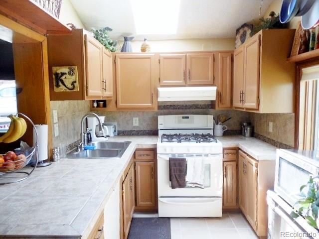30353 Conifer Road Evergreen, CO 80439 - Photo 8 of 22 Gallery Image 8
