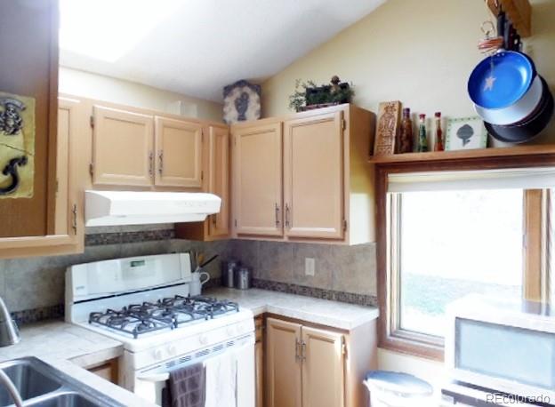 30353 Conifer Road Evergreen, CO 80439 - Photo 9 of 22 Gallery Image 9