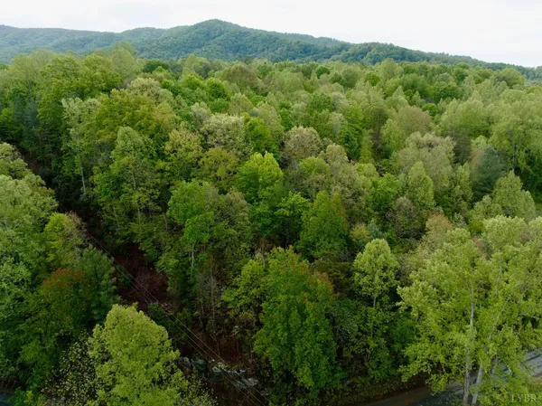 $57,500 | 0 Wagon Trail Road, Monroe, VA 24574