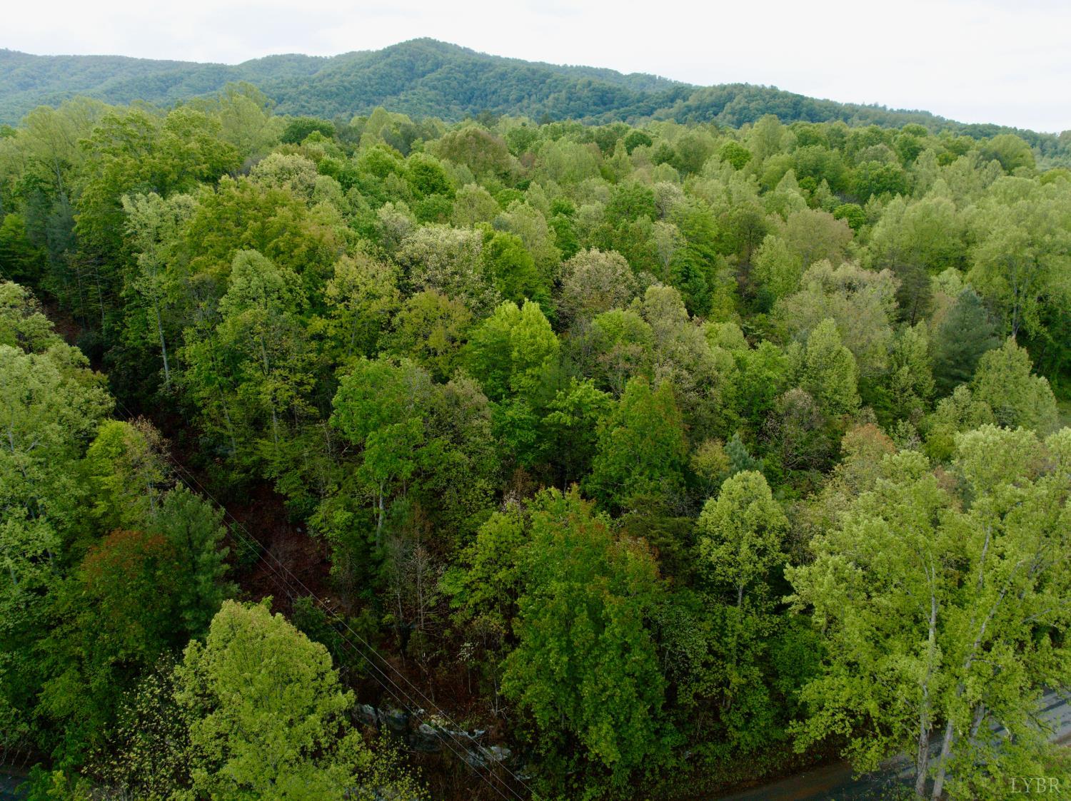 0 Wagon Trail Road Monroe, VA 24574 - Photo 11 of 24