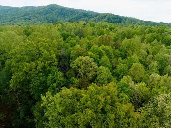 $57,500 | 0 Wagon Trail Road, Monroe, VA 24574
