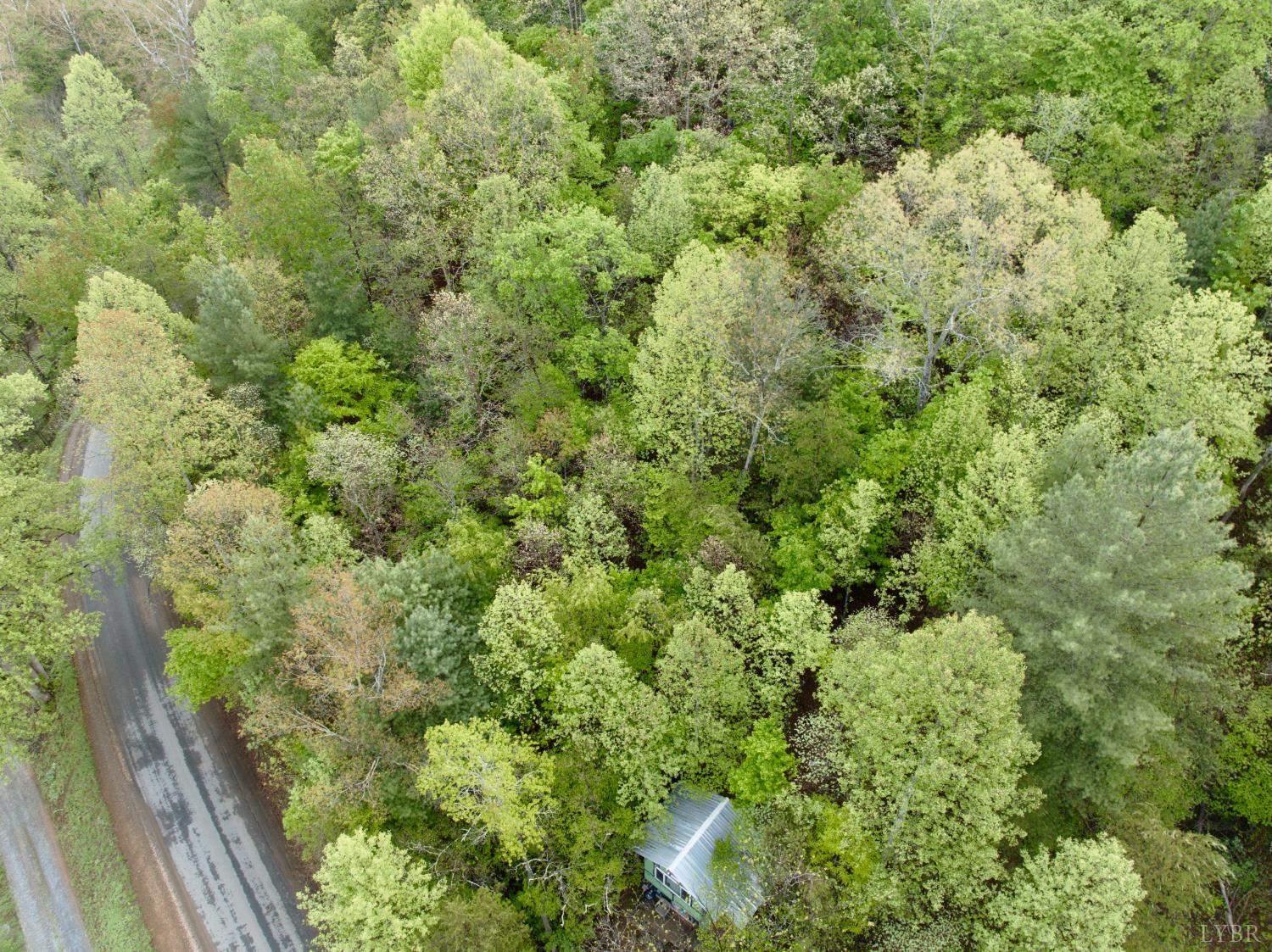 0 Wagon Trail Road Monroe, VA 24574 - Photo 13 of 24