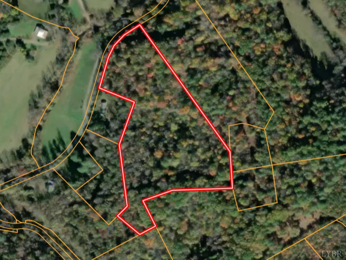 0 Wagon Trail Road Monroe, VA 24574 - Photo 14 of 24