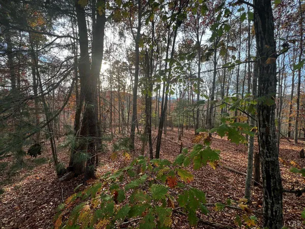 $57,500 | 0 Wagon Trail Road, Monroe, VA 24574