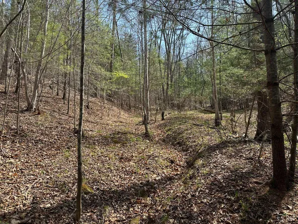 $57,500 | 0 Wagon Trail Road, Monroe, VA 24574