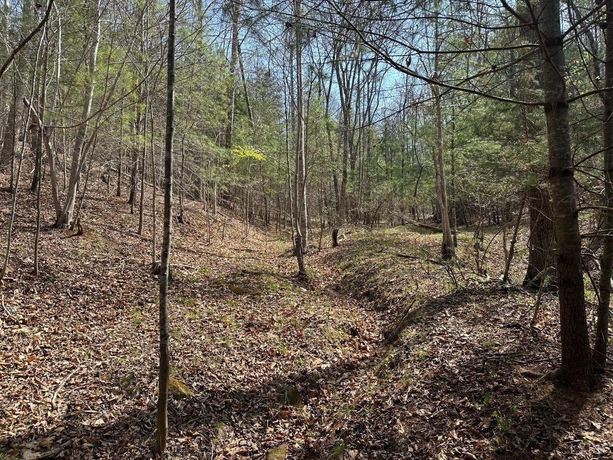 0 Wagon Trail Road Monroe, VA 24574 - Photo 18 of 24