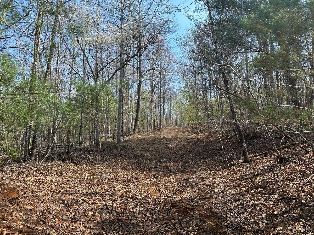 0 Wagon Trail Road Monroe, VA 24574 - Photo 20 of 24