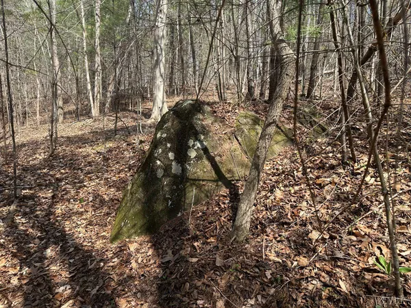 $57,500 | 0 Wagon Trail Road, Monroe, VA 24574