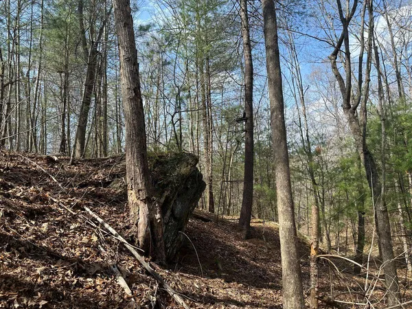 $57,500 | 0 Wagon Trail Road, Monroe, VA 24574