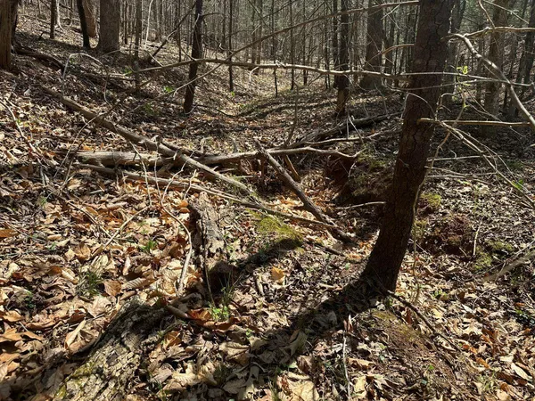$57,500 | 0 Wagon Trail Road, Monroe, VA 24574