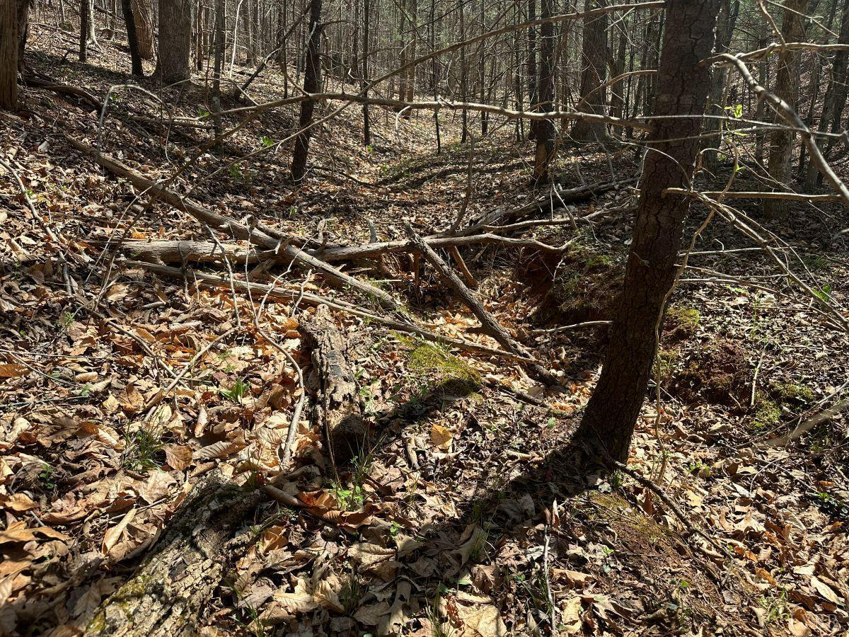 0 Wagon Trail Road Monroe, VA 24574 - Photo 23 of 24