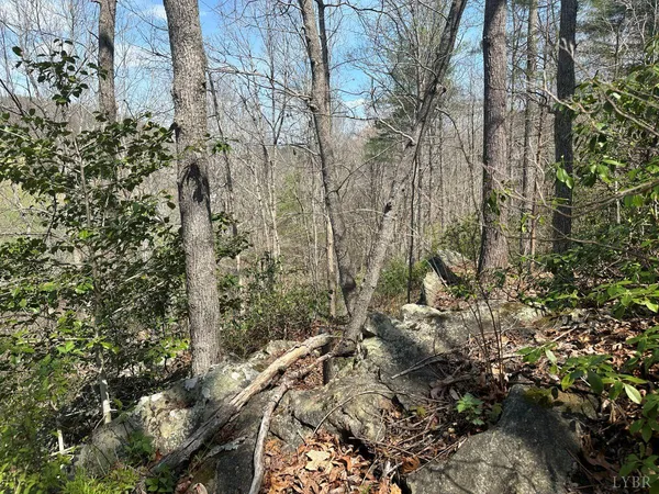 $57,500 | 0 Wagon Trail Road, Monroe, VA 24574